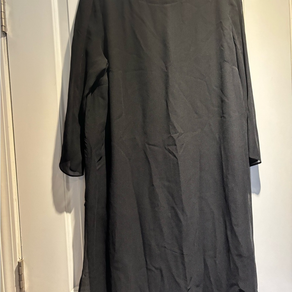 Sheer Black Tunic/dress